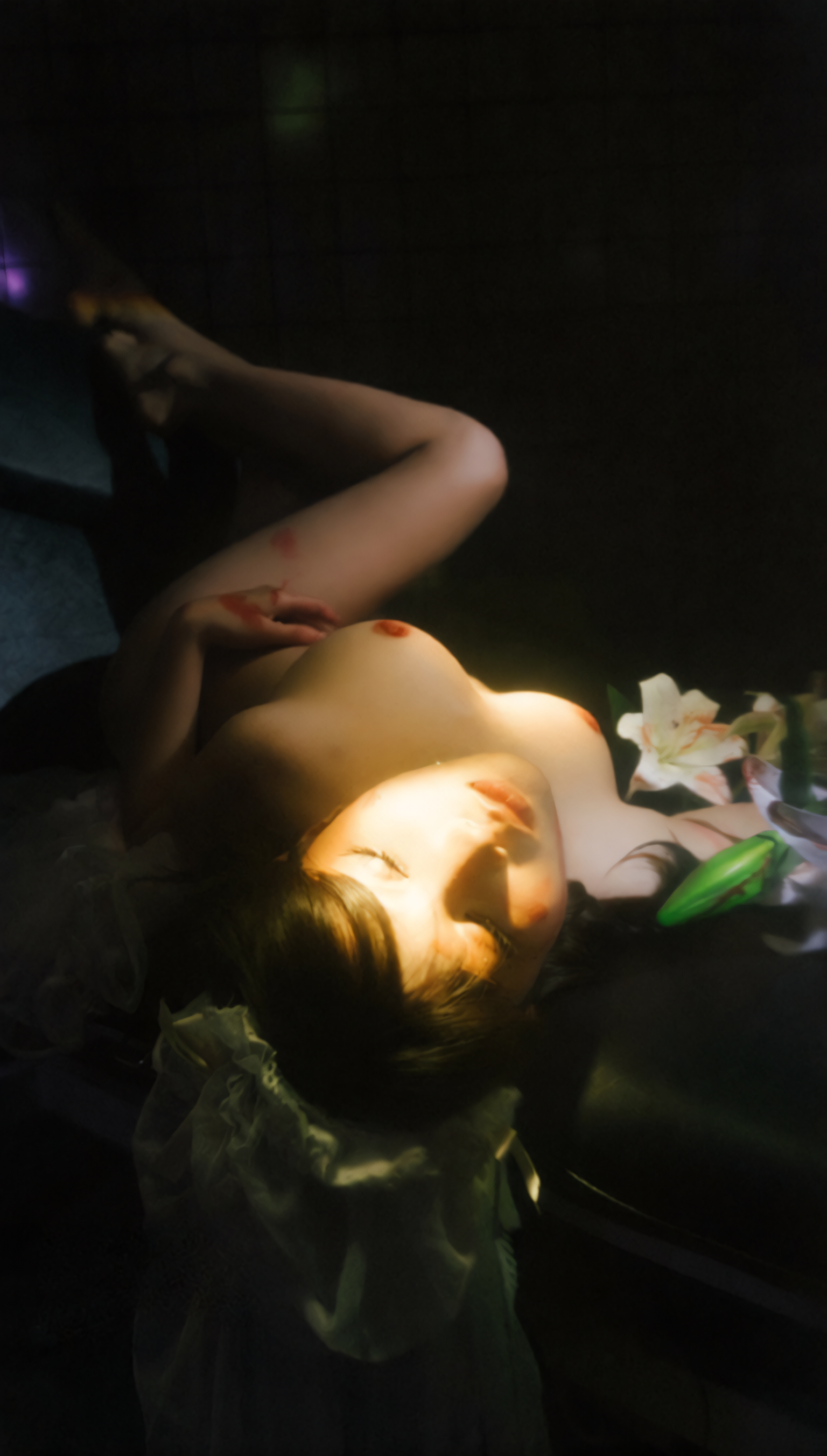 images_044
